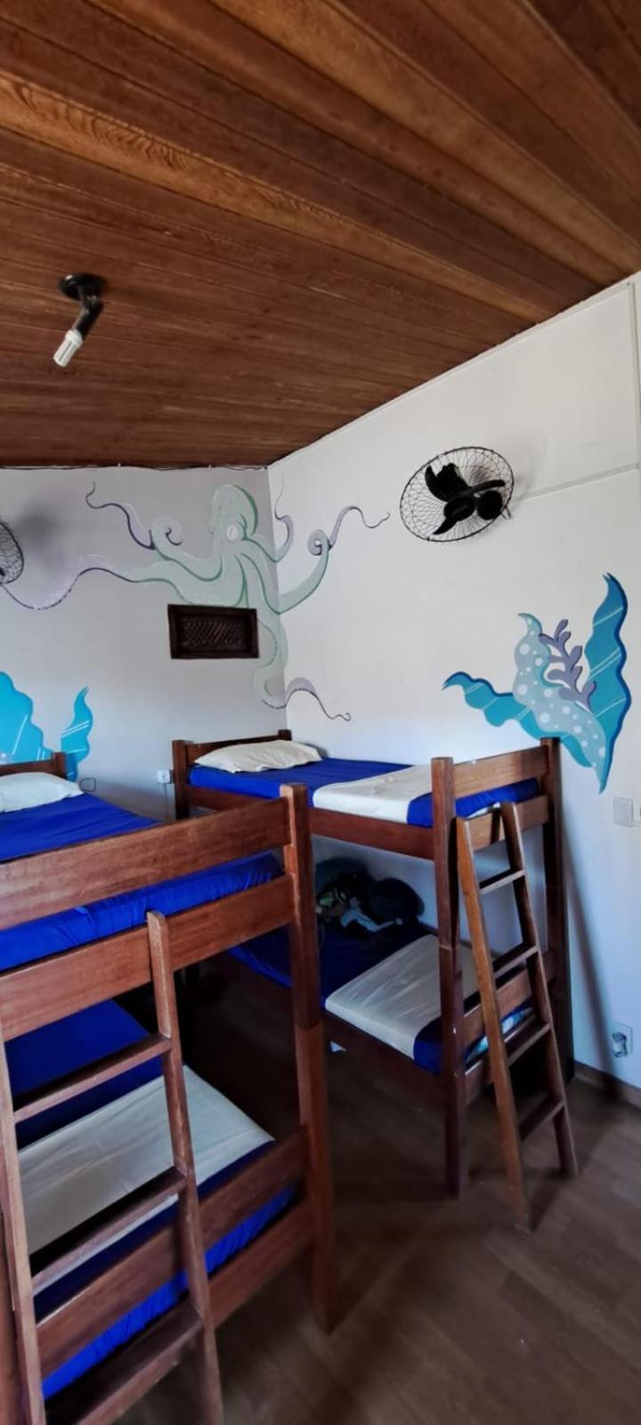 Hostel Recanto Da Sereia Salvador da Bahia Oda fotoğraf